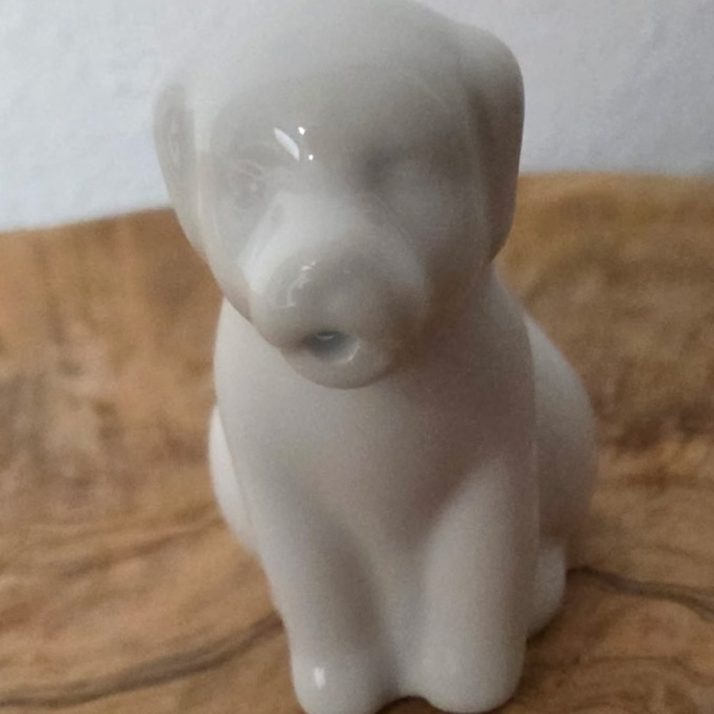 White Ceramic Dog Creamer